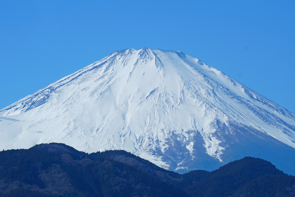 THE 富士山