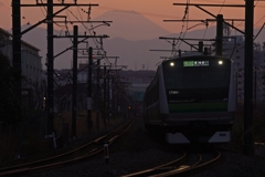 せめてシルエットだけ