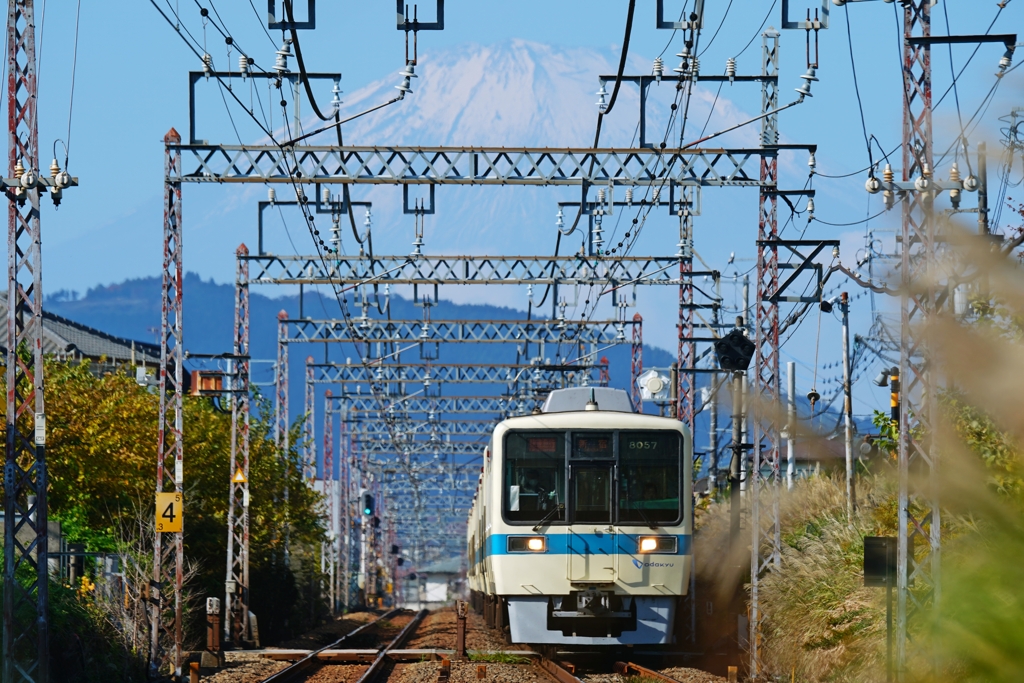 様子見で伺いましたが…