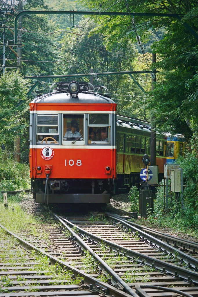 箱根登山鉄道の顔