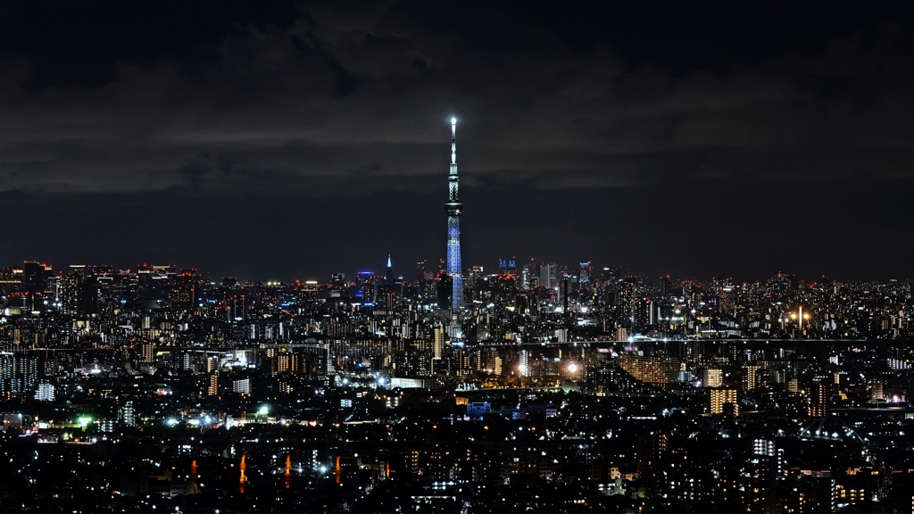 無限に広がる大夜景