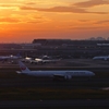 羽田空港日没間際