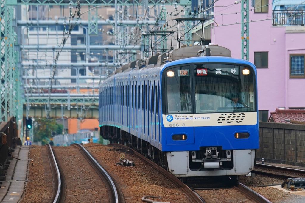 コンプリートしました！