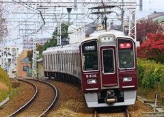 マルーンの疾風(かぜ)