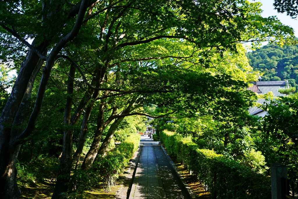 関係者以外立入禁止