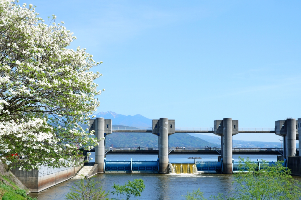 大河の源流