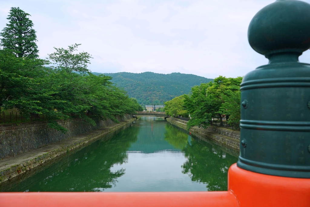 琵琶湖疎水はいつもこの色