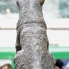 今日は何人と記念写真？