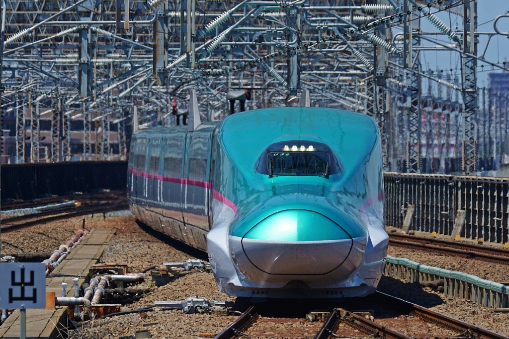 意外に撮れない真正面