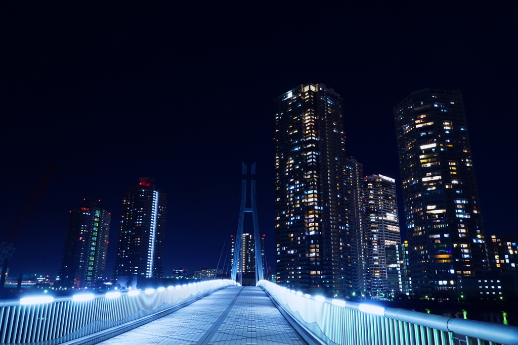 東雲水辺公園の夜景 By マイスト Id 751 写真共有サイト Photohito