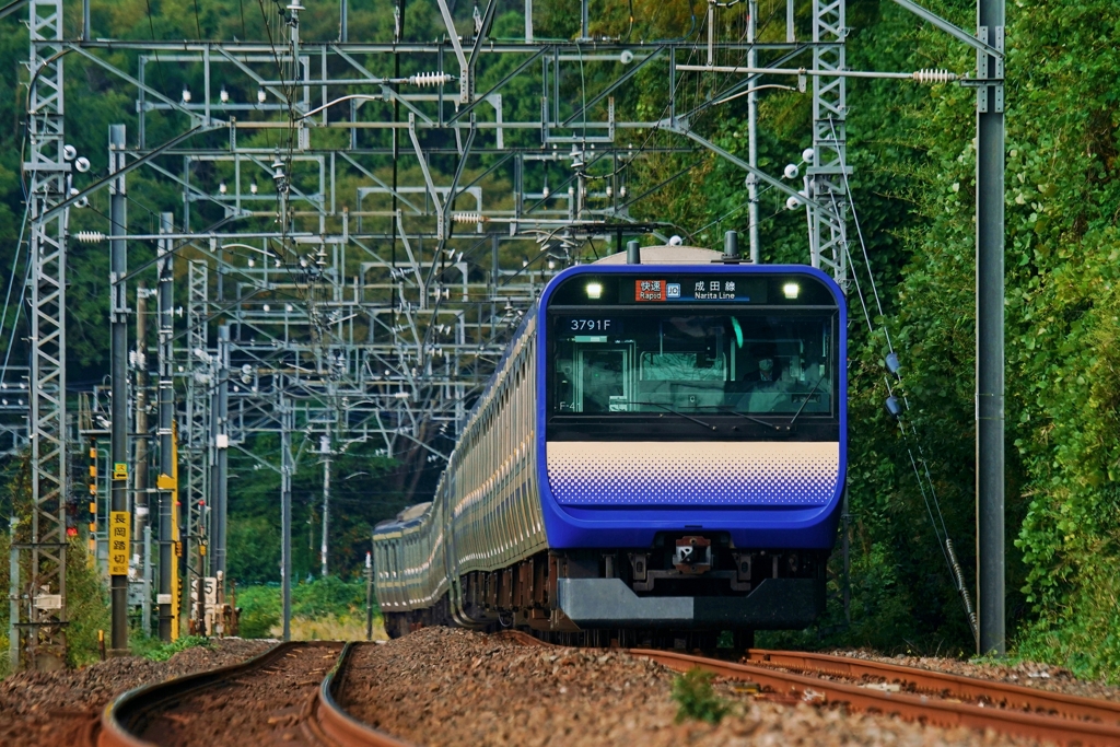 快走スカレンジ