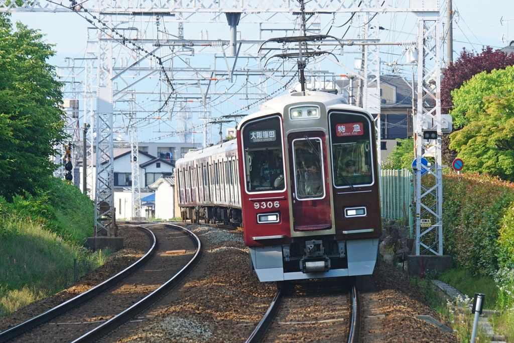 緑とマルーン