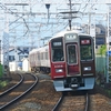 緑とマルーン
