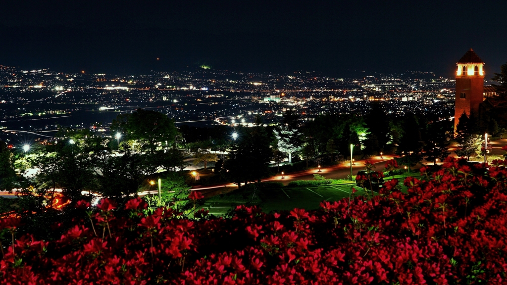 この季節だけのコラボ夜景