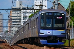 暑いので涼しい色を