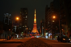 みんな大好き東京タワー！
