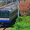赤 青 緑