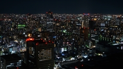 無限に広がる大夜景