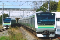 たまには通勤電車も…