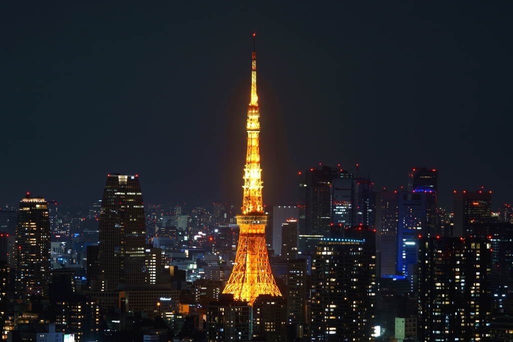 東京夜景の王道