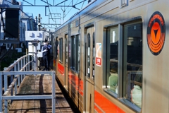 もうすぐ見納め