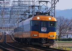 やっぱりこっちがいい！