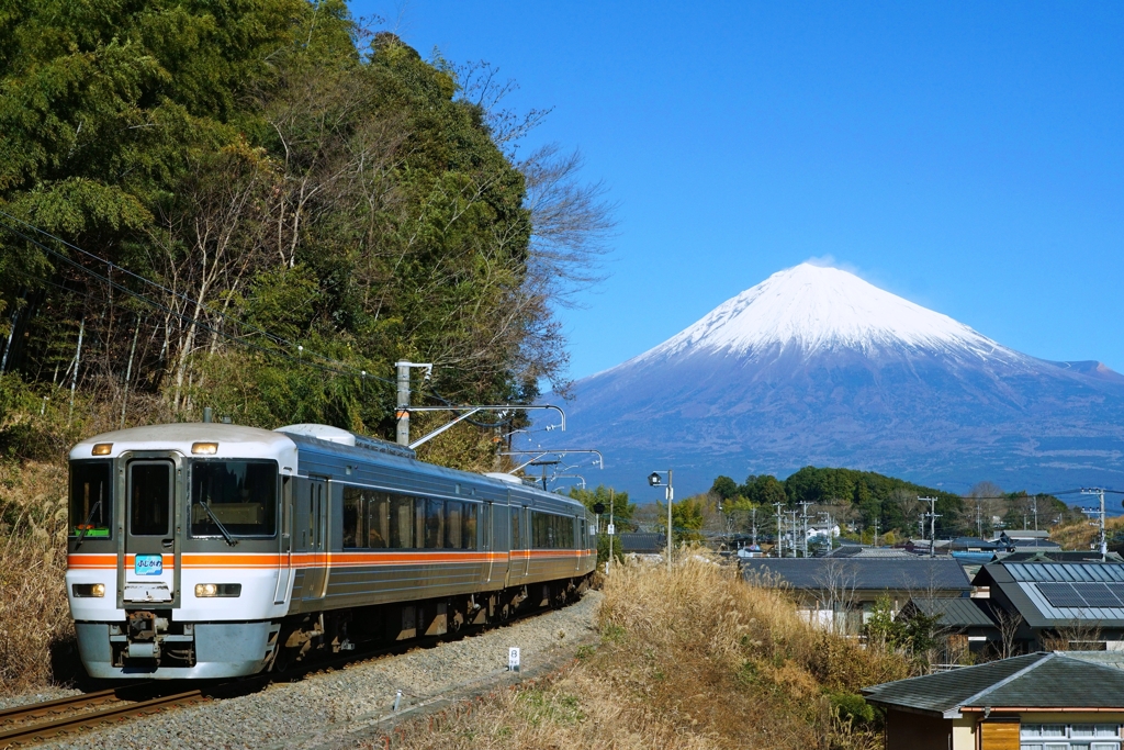 ド定番スポット巡り