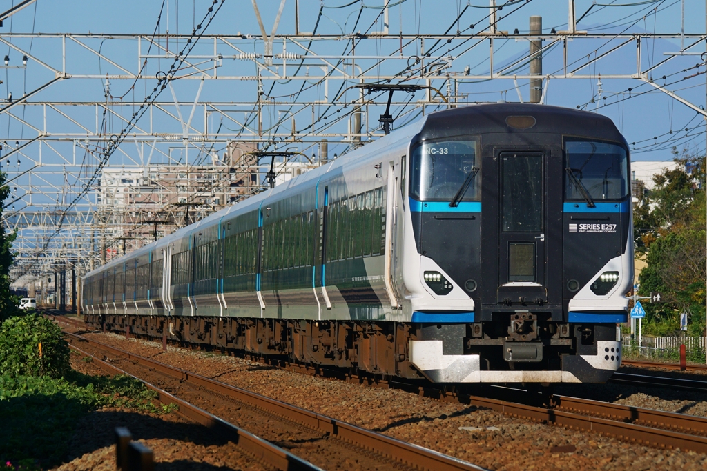 東海道線の特急と言えば…