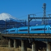 青まみれ！