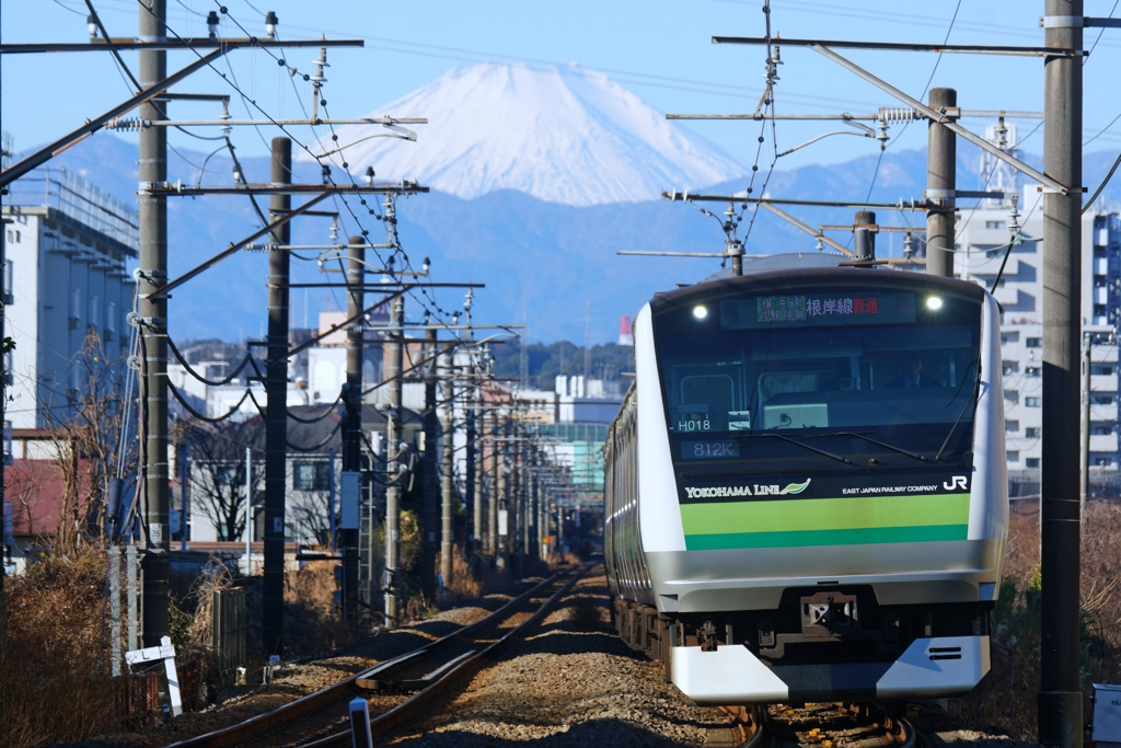 ひょっこり富士山