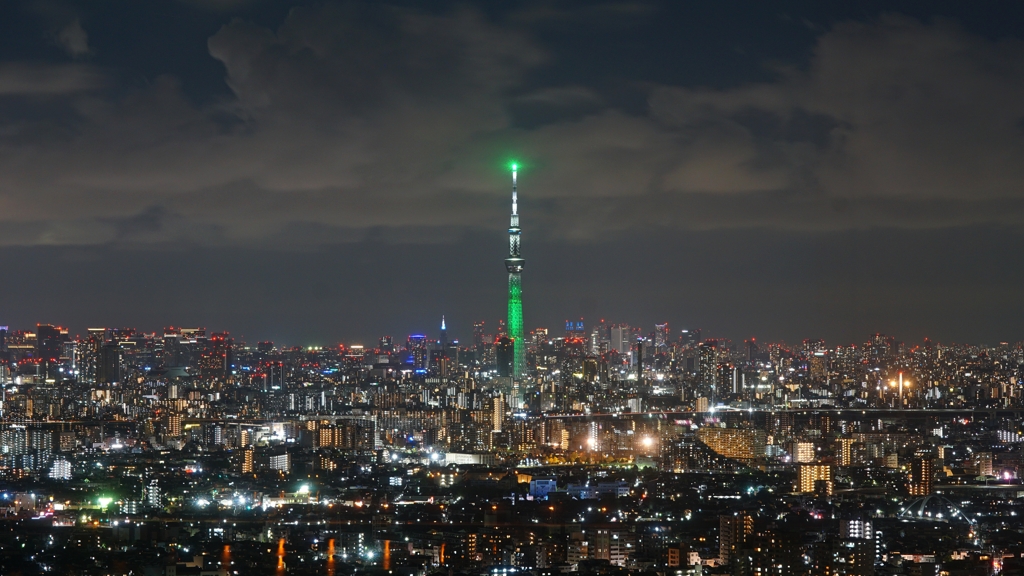 きれいな夜景だけど…