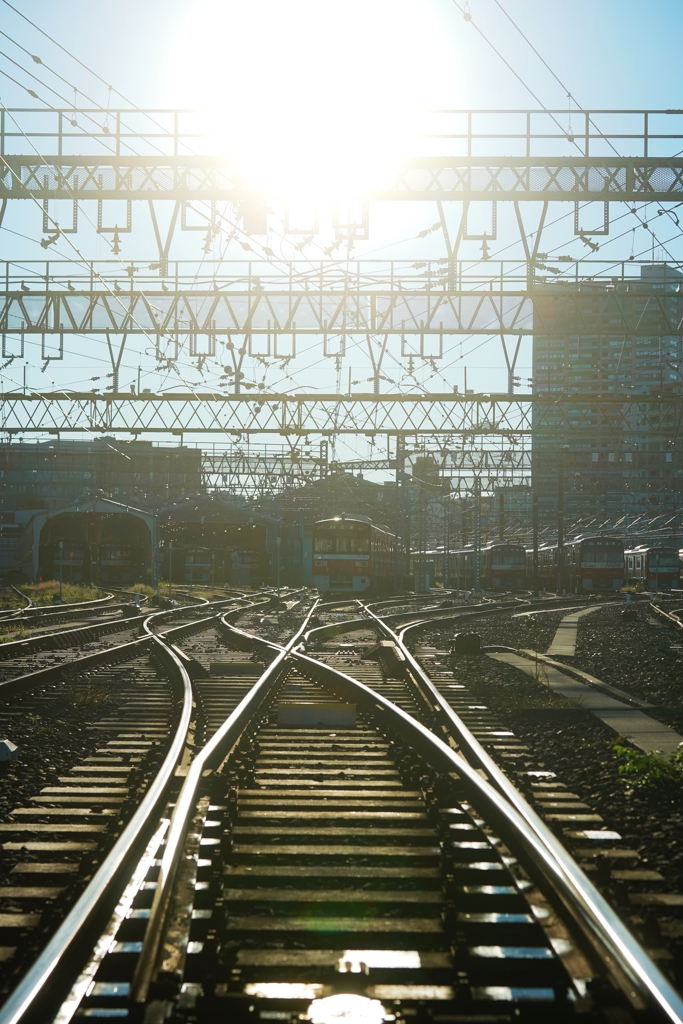 いつもの車庫から