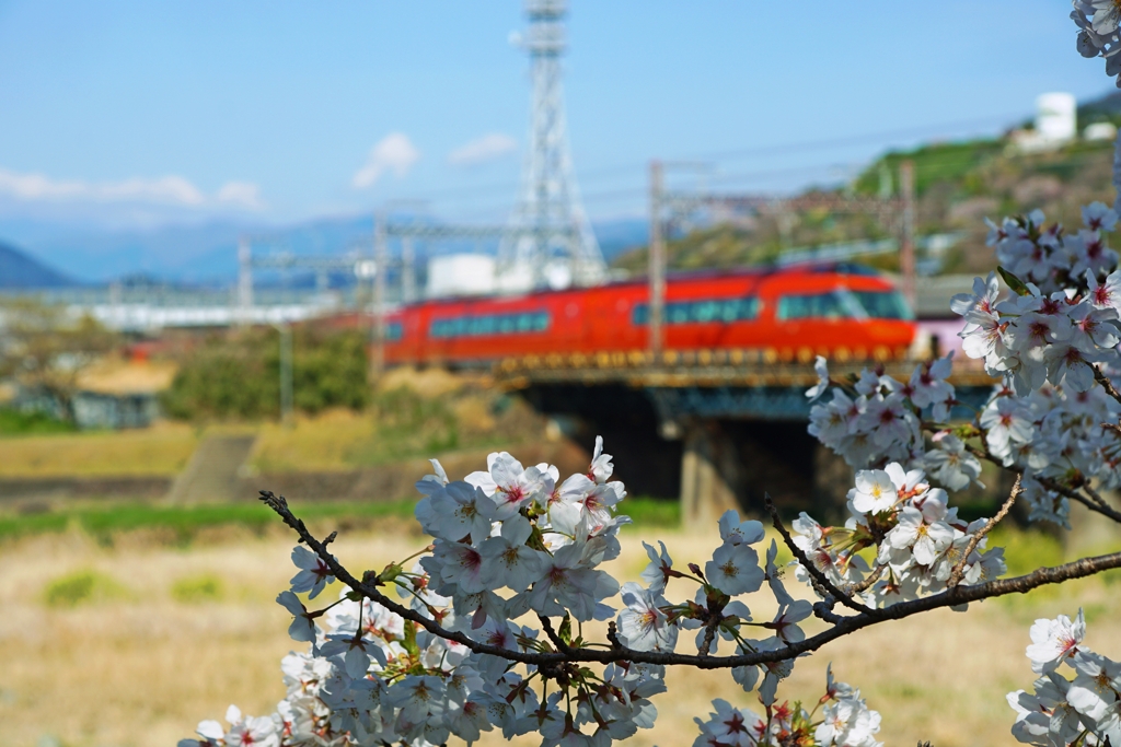 撮り比べ