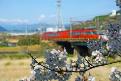 撮り比べ