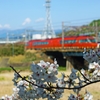 撮り比べ