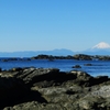 城ヶ島から望む