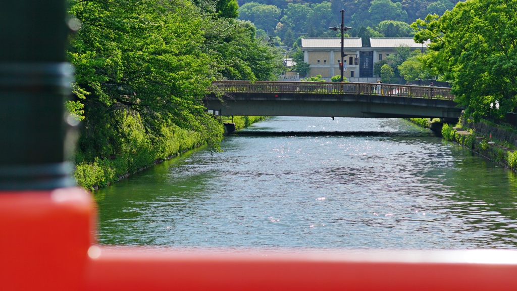 新緑の京都…じゃなくてもう夏です！