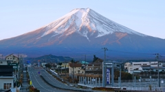 最高のお出迎え