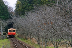 小湊鉄道奥深く