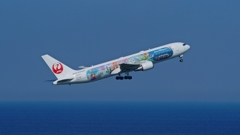 余計なものは一切なし！