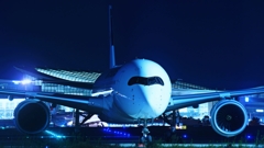 困ったときのはねだのみ！...その②