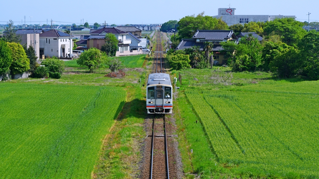 一足早い夏風景