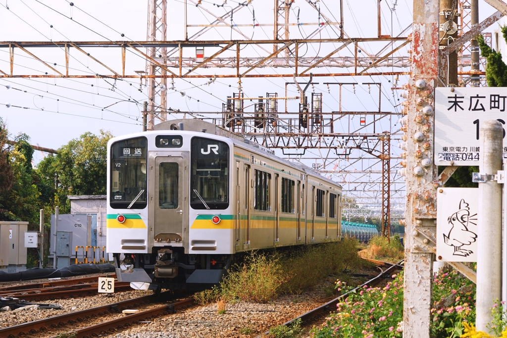 新たな仲間