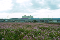 馴染みのあるこの風景も
