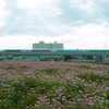 馴染みのあるこの風景も