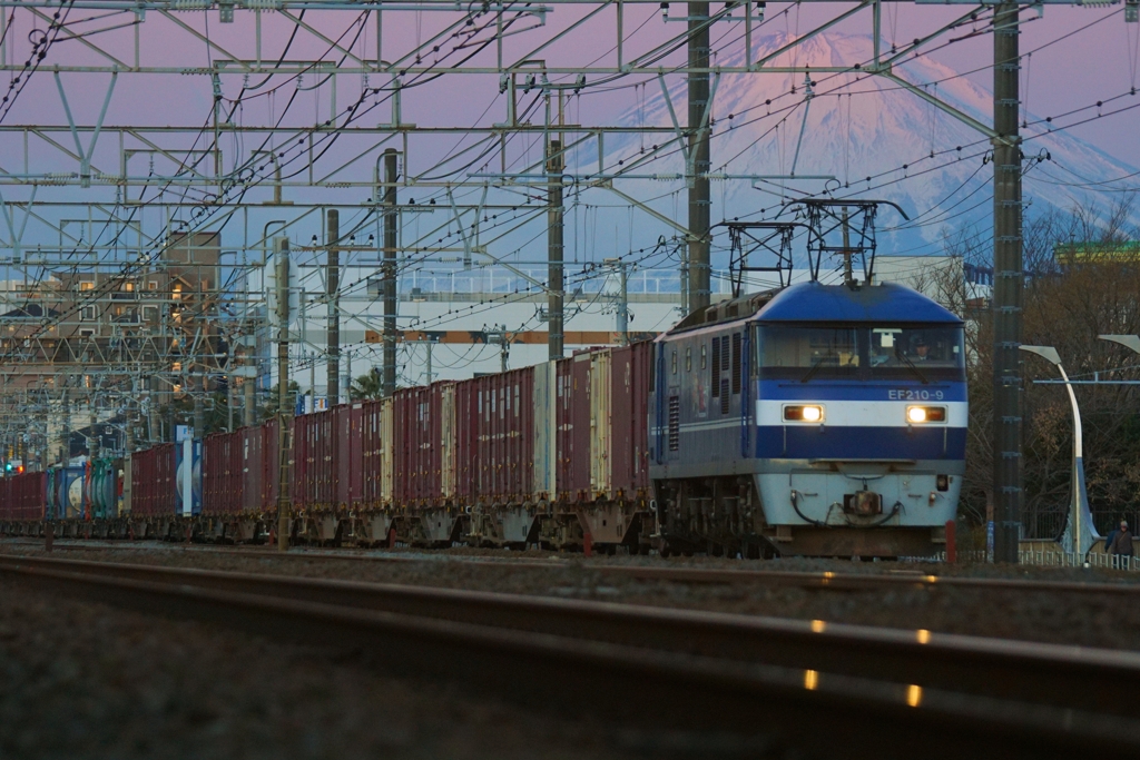 朝の貨物列車撮り