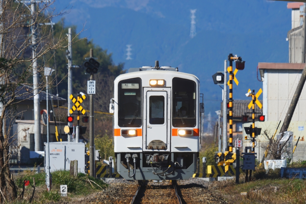 JR東海の固有種