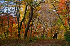 シーズン到来 シーズン到来