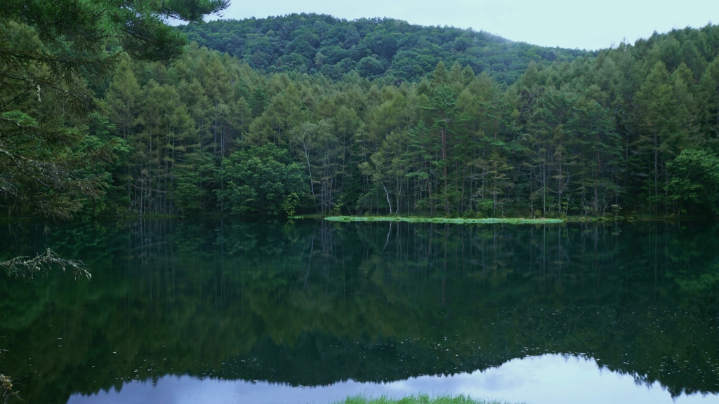 御射鹿池の朝