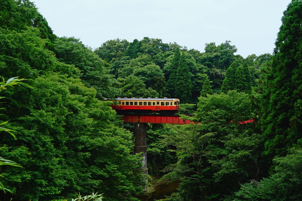 小湊鉄道らしい風景